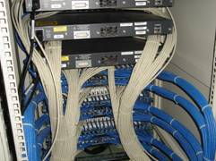 綜合布線服務(wù)與型號規(guī)格詳解，配套會展服務(wù)解決方案